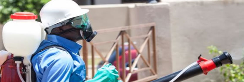 Fumigation Services & Pest Control