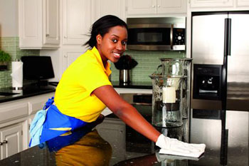 Hygiene Cleaning Services