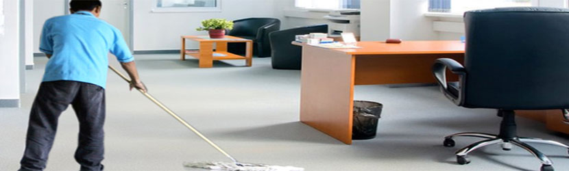 General Daily Cleaning Services